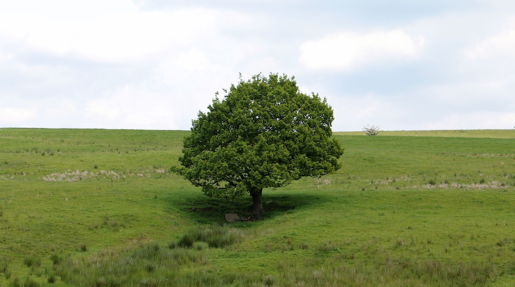 North Turton, Bolton, Lancashire, England