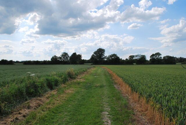 A rural landscape with a dirt path leading through a field, surrounded by trees and a partly cloudy sky.