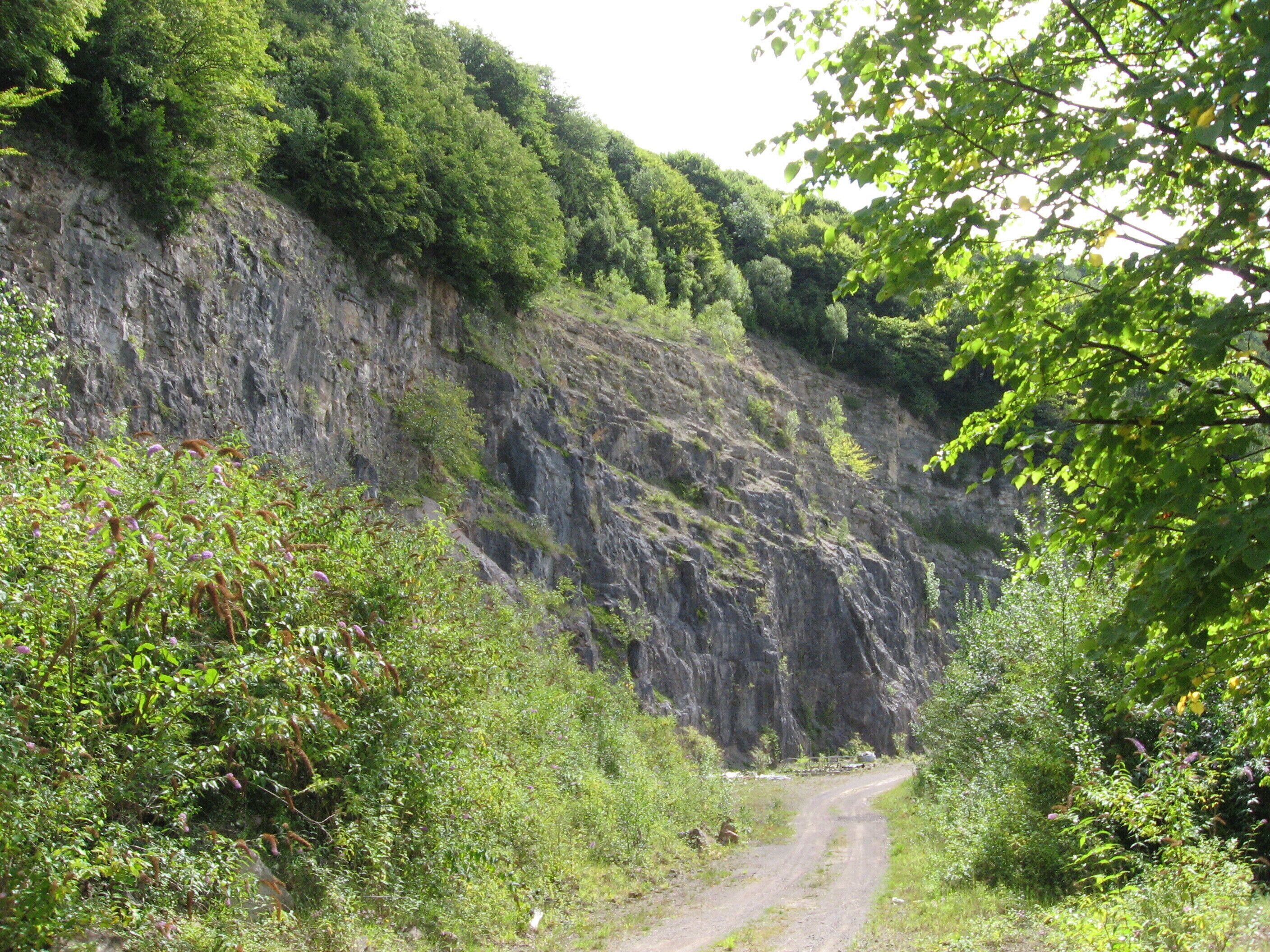 Part of Tintern Quarry