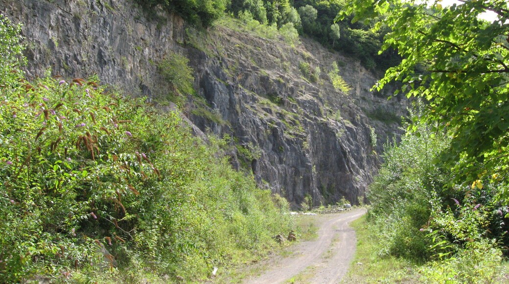 Part of Tintern Quarry