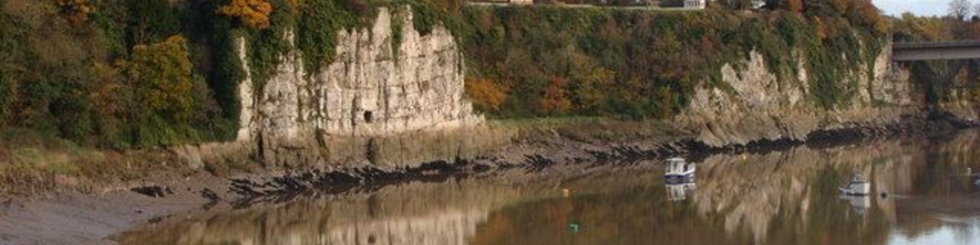 River cliff , reflections and houses with views An unusually tranquil moment for the River Wye, showing off its English bank to great effect.