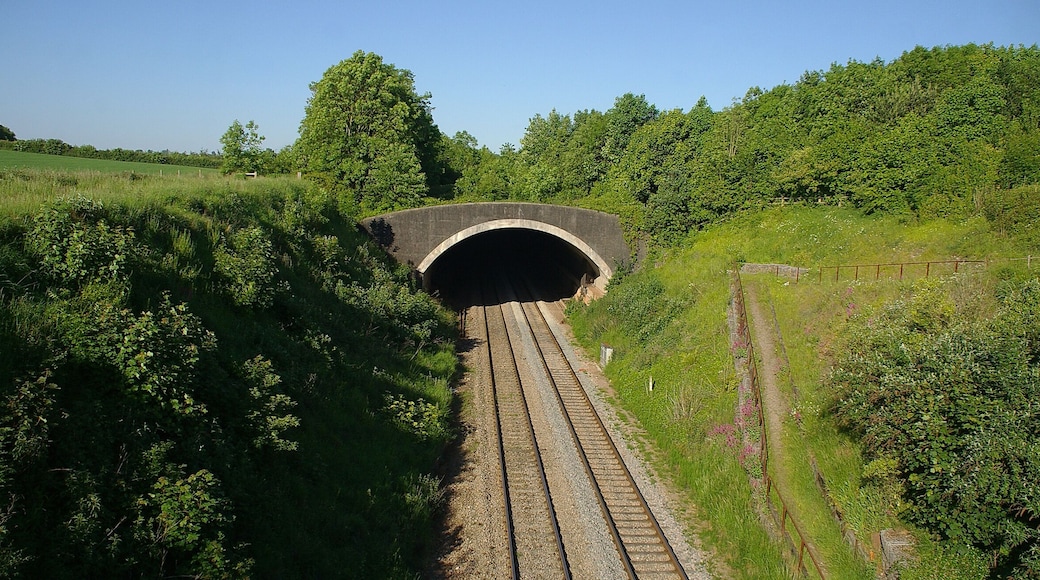 The Chepstow north tunnel on the Gloucester to Newport line.