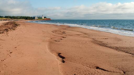 パンミュア アイランド