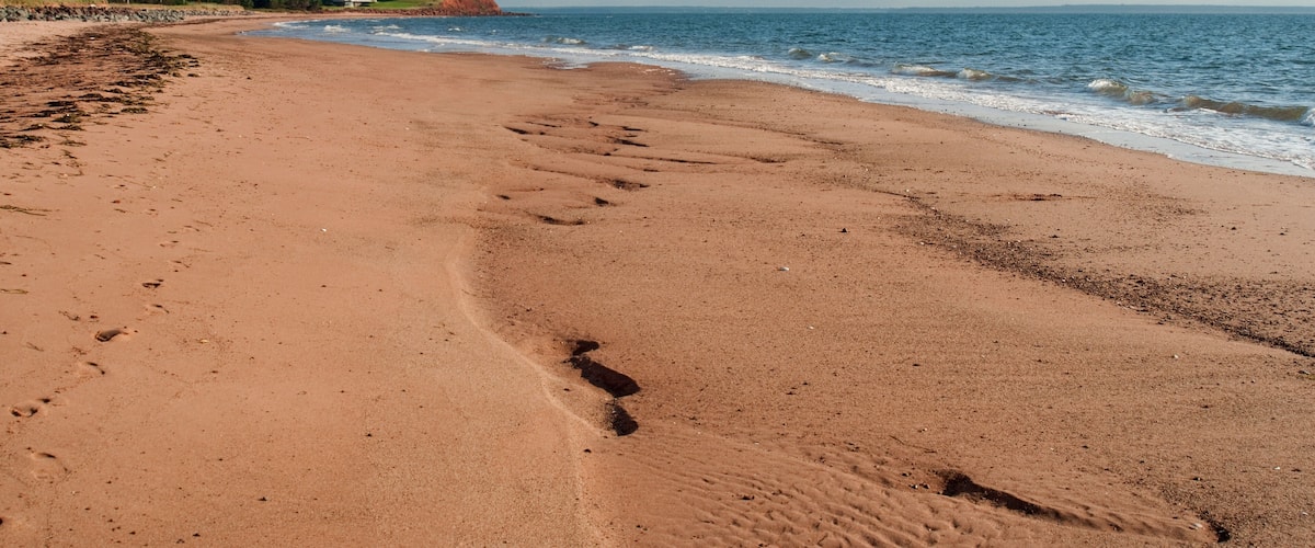 A sandy beach with footprints leading to the water, a lighthouse in the distance, and a clear sky.