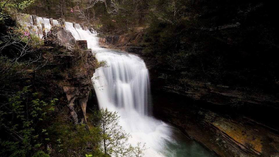 A waterfall cascading down a rocky cliff surrounded by dense forest.