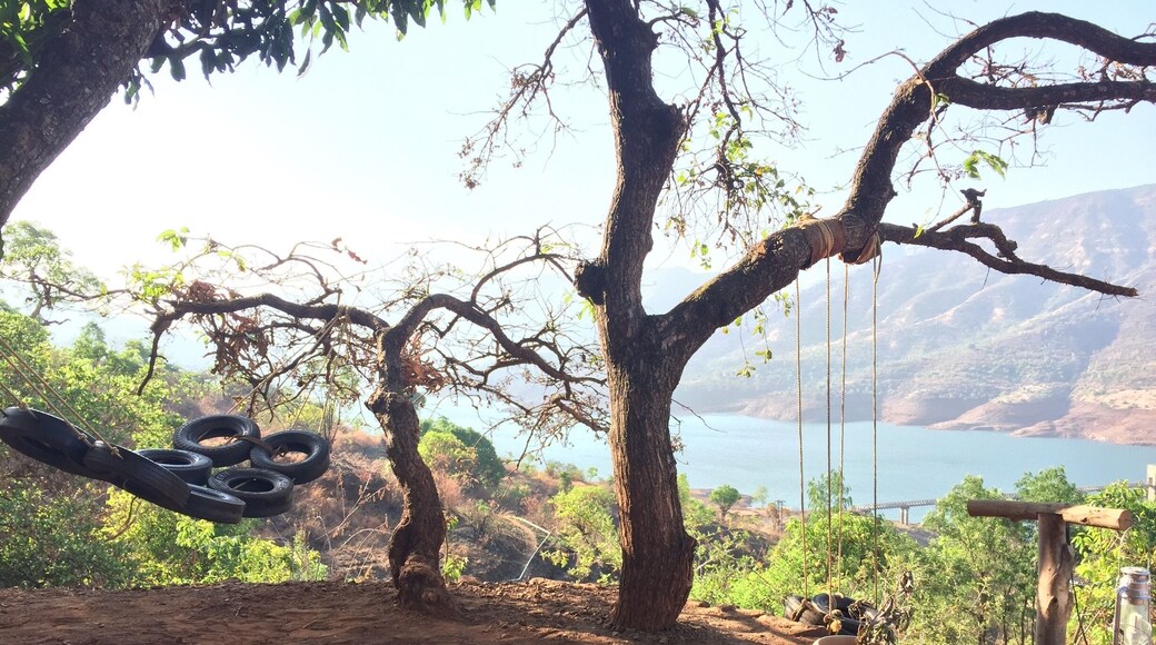 I Camp is the perfect weekend getaway for some quiet time