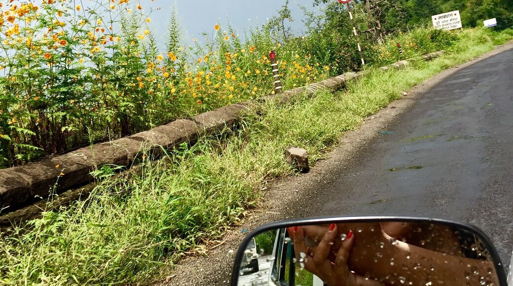 Long drives in rains are a true bliss
#rains #greenery #longdrives