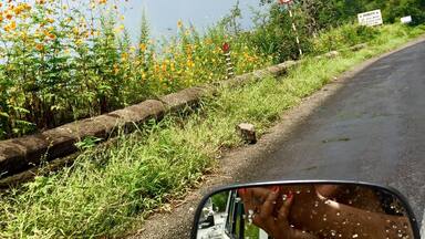 Long drives in rains are a true bliss
#rains #greenery #longdrives
