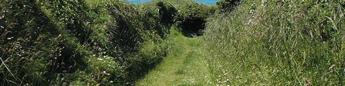 Tintagel: path to Trebarwith Strand Looking towards Gull Rock on the path from Tregatta