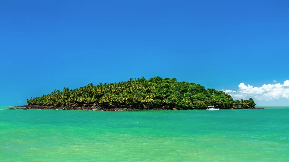 A small island with dense green vegetation and a clear blue sky.