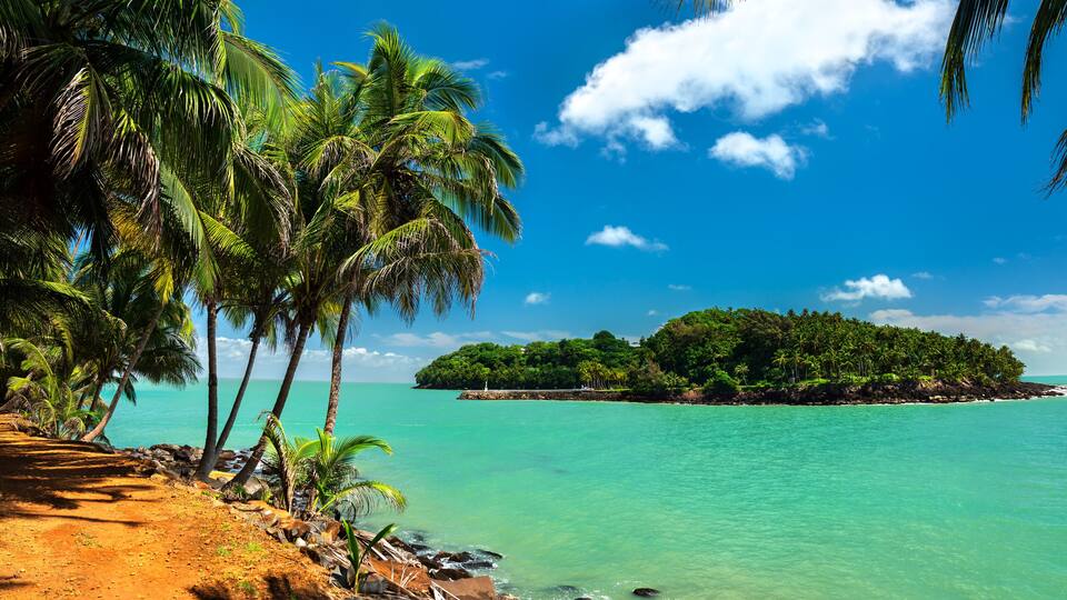 A tropical beach with palm trees, clear turquoise water, and a small island in the distance.