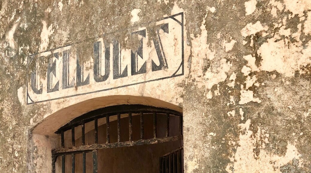 Entrance into solitary confinement.
Here’s some more history:
In the late 1840’s France had a problem with overpopulation in its prisons and made the decision to transport some of the prison population to the Iles du Salat (Salvation Islands). This particular set of islands is about 6 miles off of the coast of French Guiana and made up of Ile Royale, Ile Saint-Joseph and Ile du Diable. The French also installed prisons on the mainland of French Guiana as well as other islands located north of here. The prison was run on the Salvation Islands from 1852 until 1946. A law was passed by the French Government in 1853 that required convicts to stay in French Guiana following their release for a time equal to their sentence ... or, for sentences exceeding eight years, for the remainder of their life’s! So, incarceration here really was a life sentence with no ability to return to mainland France! Interestingly, the islands are still part of France and the EU as is mainland French Guiana.
