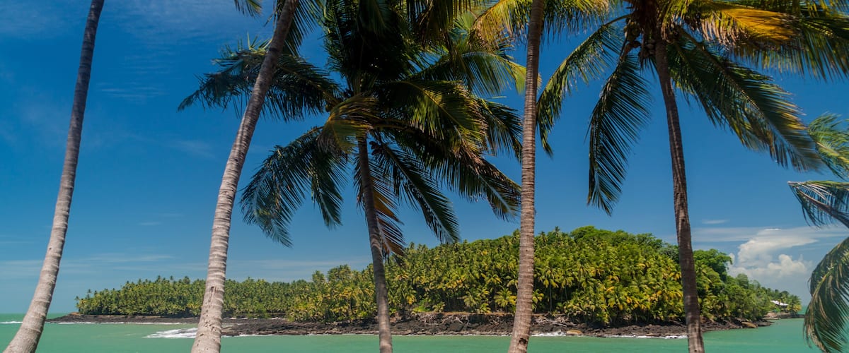 A beach with palm trees and turquoise water.