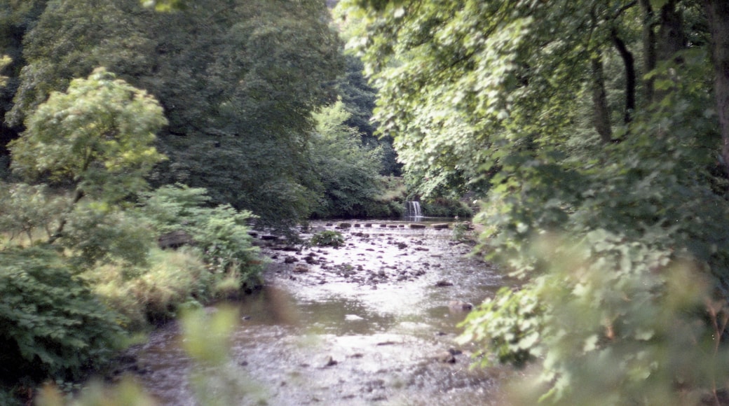 Uppermill Park, Saddleworth, England