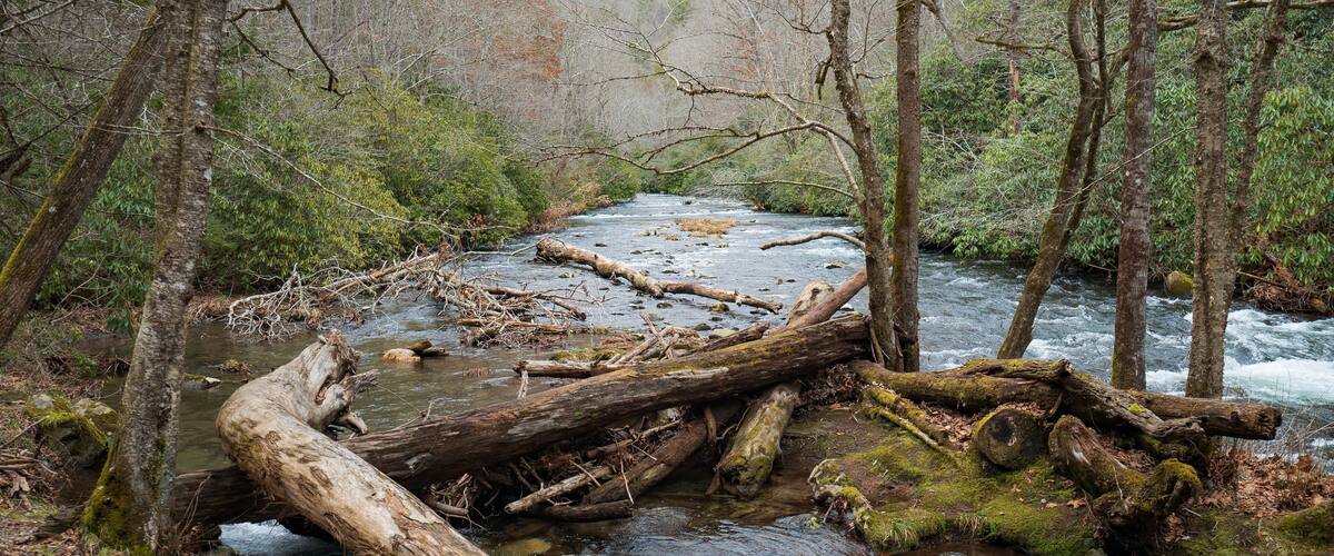 Deep Creek River in Winter
