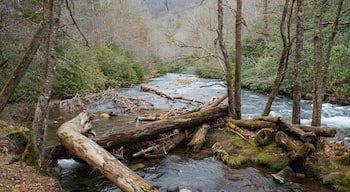 Deep Creek River in Winter