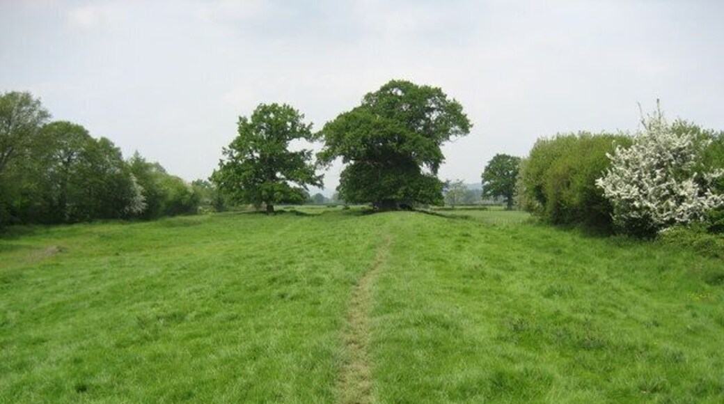 Offa's Dyke near Rhos The National Trail and ancient Dyke south of Four Crosses.