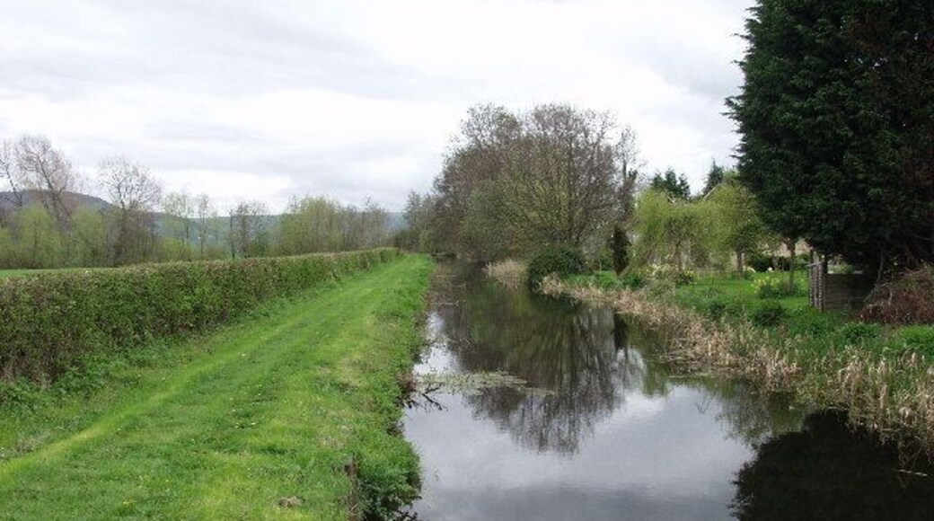 Splendid isolation. This section of the Montgomery Canal is cut off by two dropped bridges on the A483. There are plans to change the nearby road junction and incorporate re-development of the canal in the scheme.