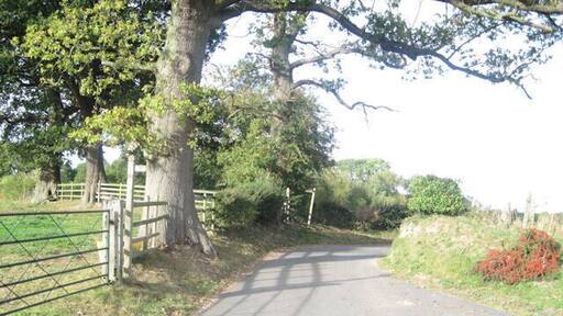 Bend in Trederwen Road