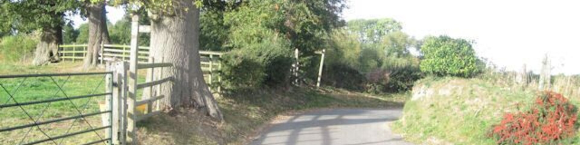 Bend in Trederwen Road