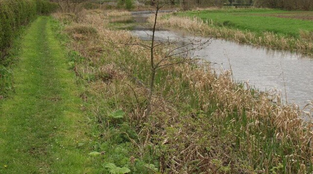 Montgomery Canal near Four Crosses. The canal gently meanders through open countryside. In the distance can be seen Rodney's Pillar atop Breidden Hill (SJ2914).