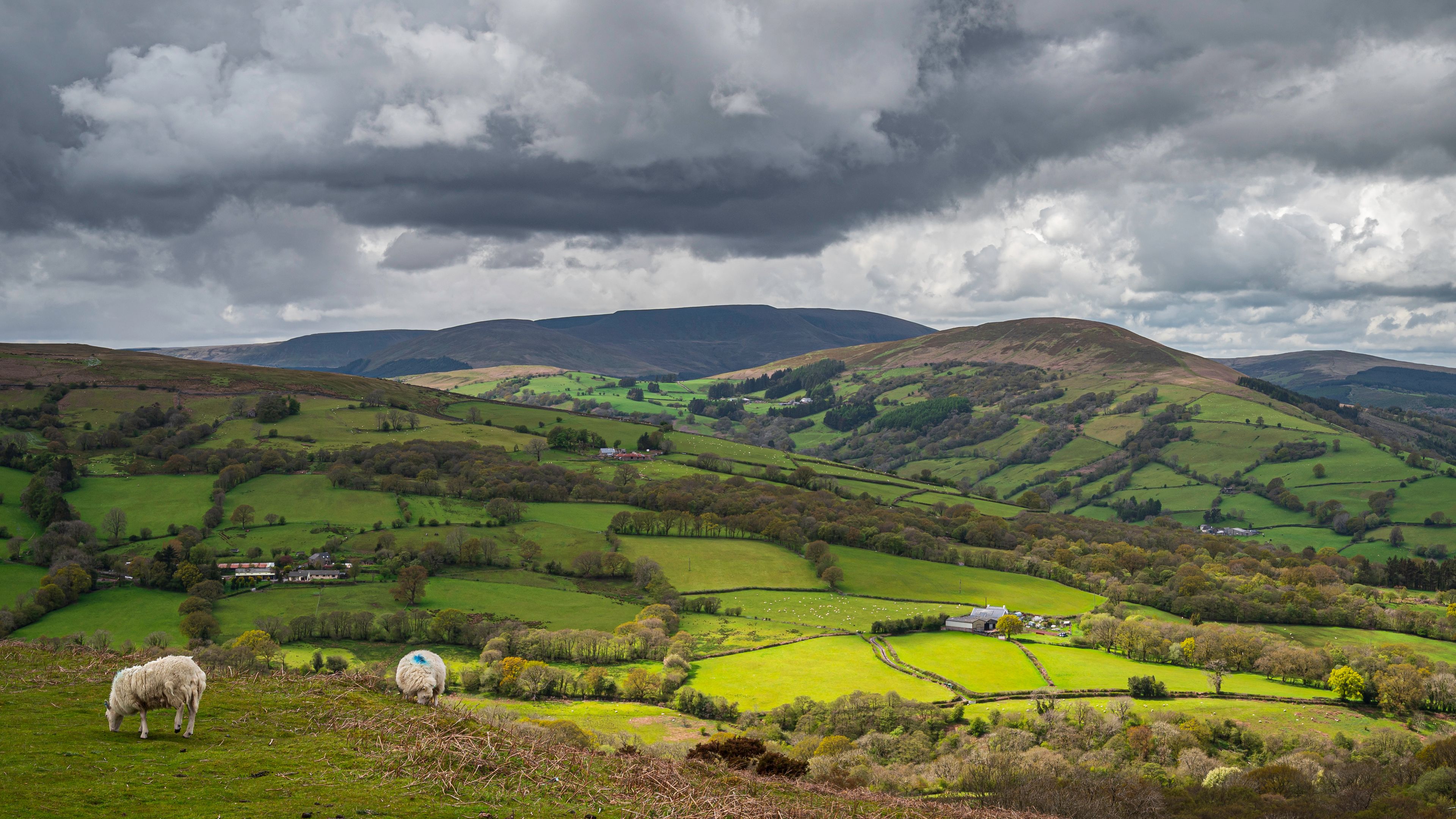The rolling agricultural hills of mid Wales. The landscape is Talybont, on a cloudy day, with a shaft of sunlight spotlighting a small section of the countryside