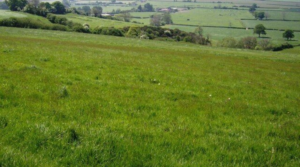 View off Corton Ridge Looking west from the ridge, the grassland runs down to farms on the plain. The square ends roughly where the land levels out and Woodhouse Farm visible in the middle distance is in the next square west.