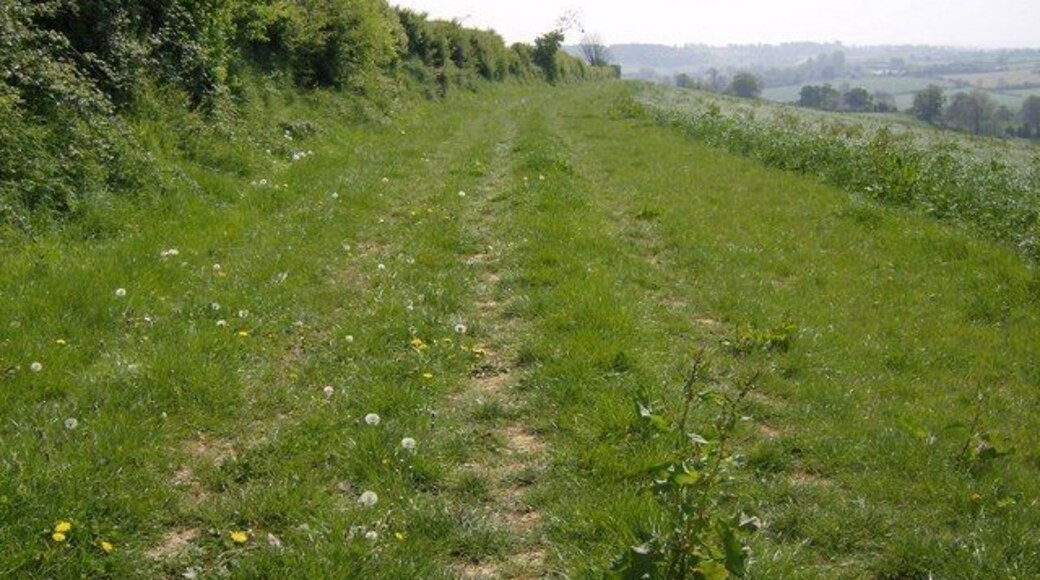 Along Corton Ridge Corton Ridge provides a broad path keeping just to the west (scarp) side of the ridge. Here looking south where the scarp slope is slightly less pronounced.