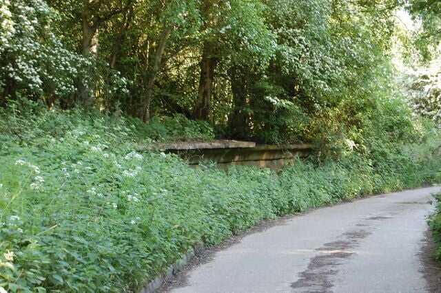 Thorpeness railway station Original description: Thorpness Halt platform All that remains of the halt at Thorpeness on the former Saxsmundham to Aldeburgh line