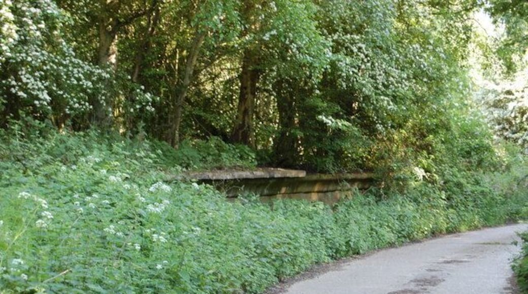 Thorpeness railway station Original description: Thorpness Halt platform All that remains of the halt at Thorpeness on the former Saxsmundham to Aldeburgh line