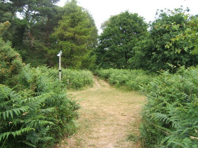 Footpath crossing. Looking along the line of a footpath crossing the Sandlings Walk, which runs from left to right. See 66499