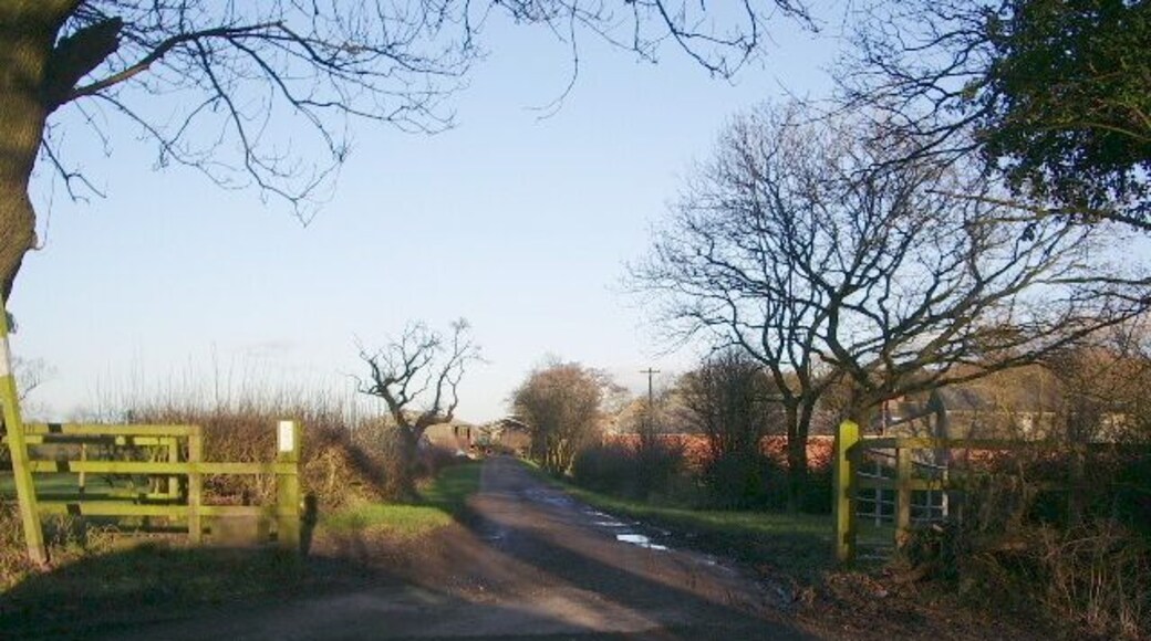 The road to Bradley Hall