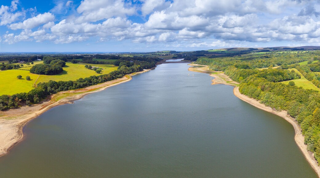 A river meandering through a green landscape with fields and trees, under a partly cloudy sky.