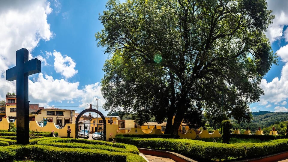 A historic church with two towers, a large tree, and well-maintained gardens.