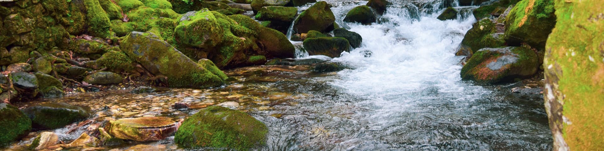 Ayazma National Park in Ida Mountains and streams flowing under the bridge