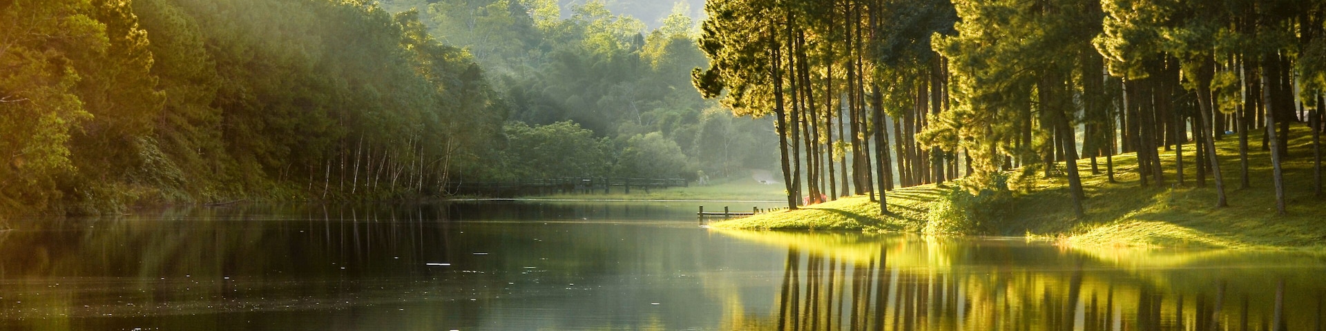 Beautiful landscape view of pine forest tree and lake view of reservoir.