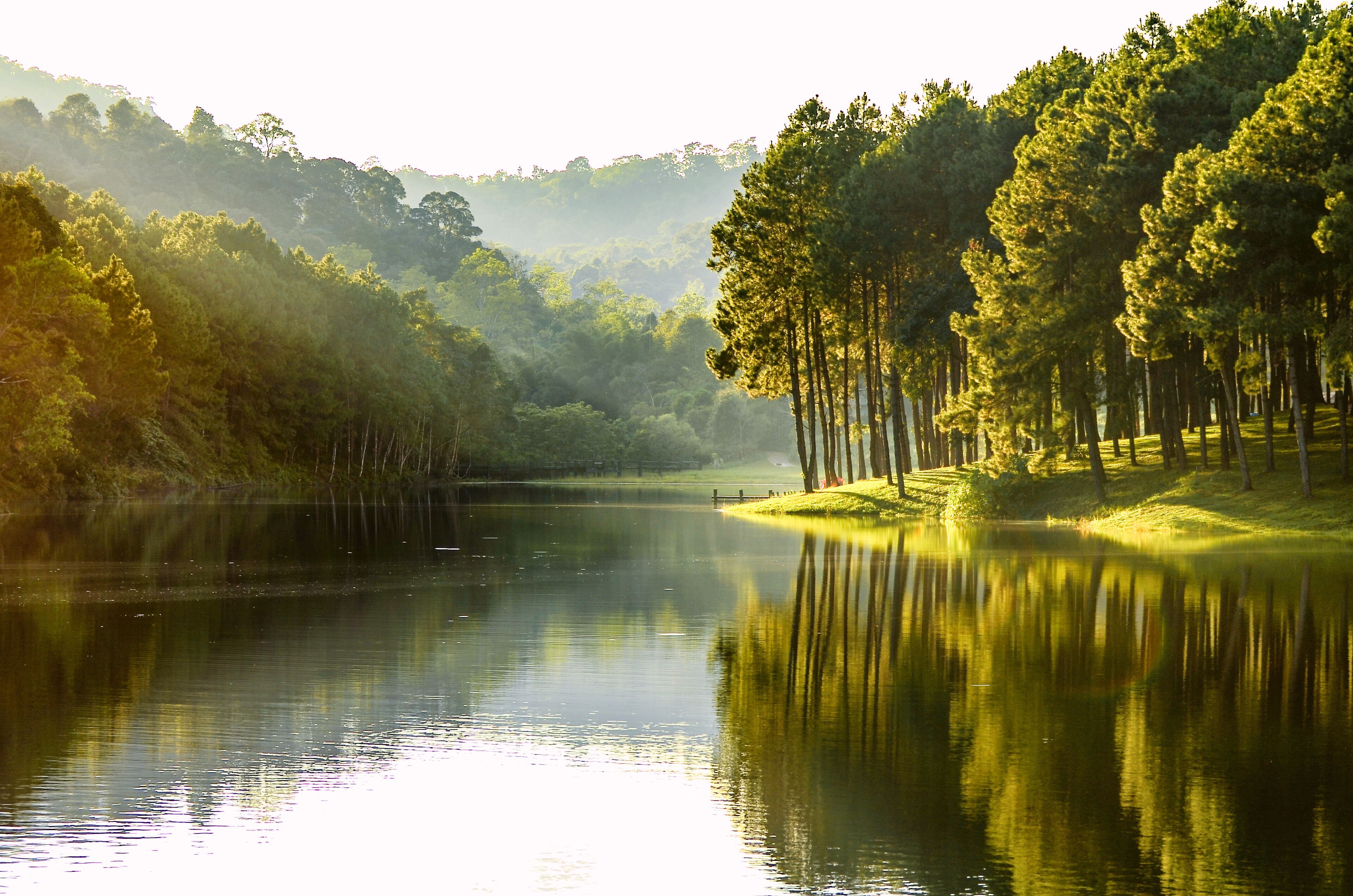 A calm lake surrounded by dense forest and hills.