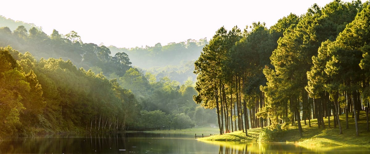 A calm lake surrounded by dense forest and hills.
