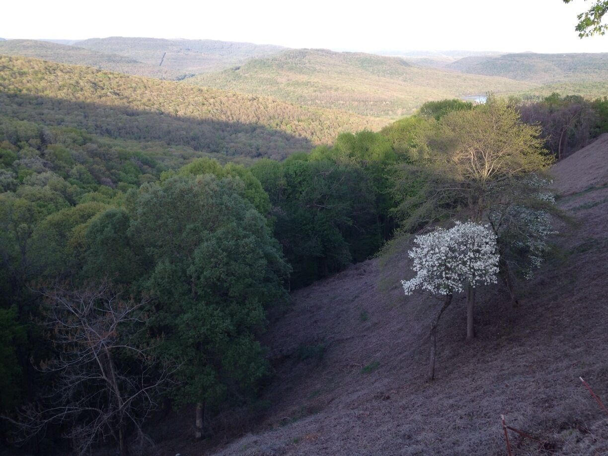 The view by Lake Fort Smith