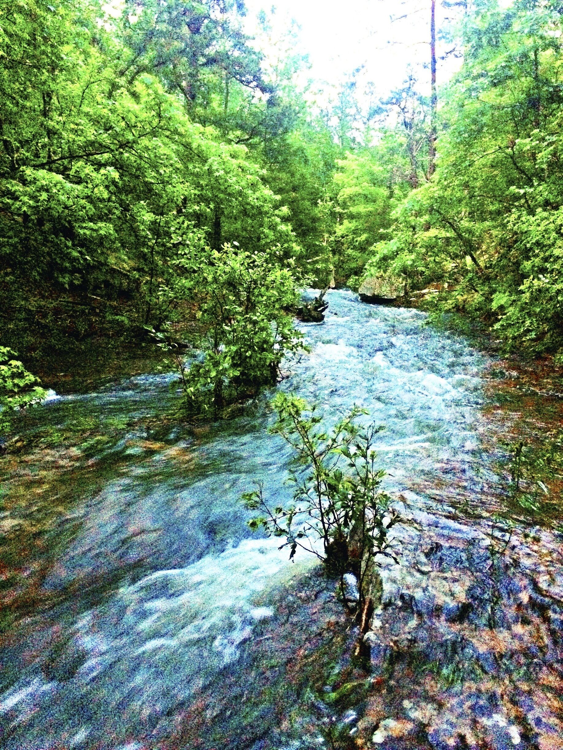 Deep in the Ozark National Forest, you'll find a place once occupied by Southern, Confederate soldiers. Devil's Canyon, home to a small skirmish had taken place in this area. Either drive along the rim of a small trail or hike down it to find this beautiful creek that feeds a nice waterfall and provides a nice, little swim hole in the summer. #devilscanyon #ARhistory #exploreAR #theSouth #waterlust 