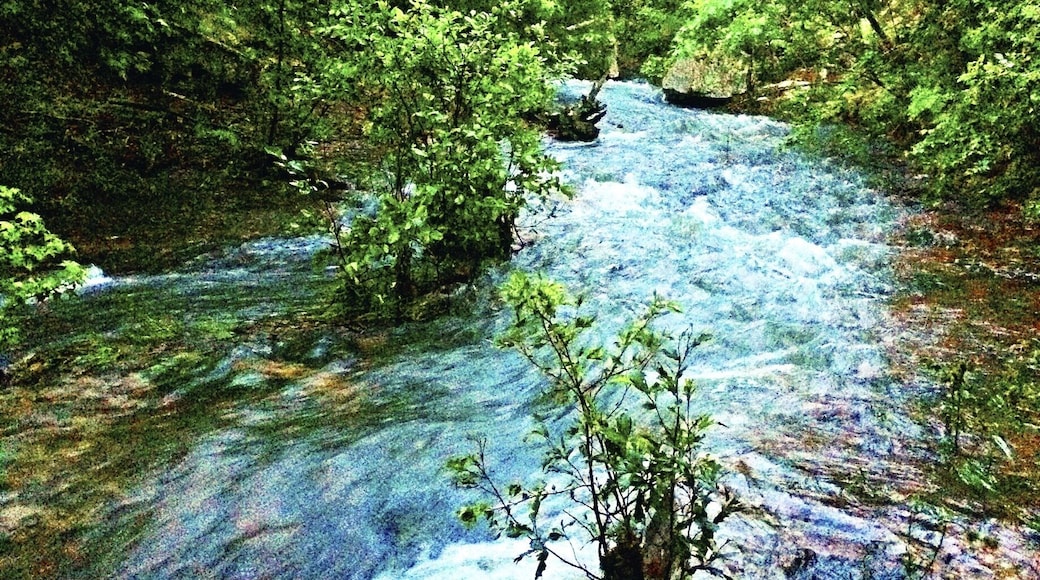 Deep in the Ozark National Forest, you'll find a place once occupied by Southern, Confederate soldiers. Devil's Canyon, home to a small skirmish had taken place in this area. Either drive along the rim of a small trail or hike down it to find this beautiful creek that feeds a nice waterfall and provides a nice, little swim hole in the summer. #devilscanyon #ARhistory #exploreAR #theSouth #waterlust