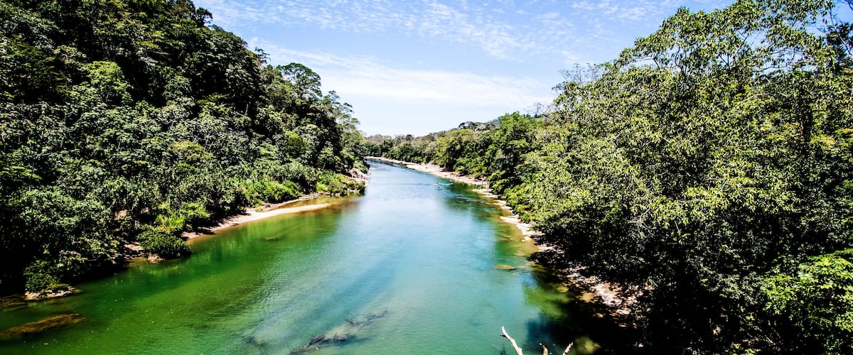 A river flanked by dense green foliage, clear water, and a distant shoreline.