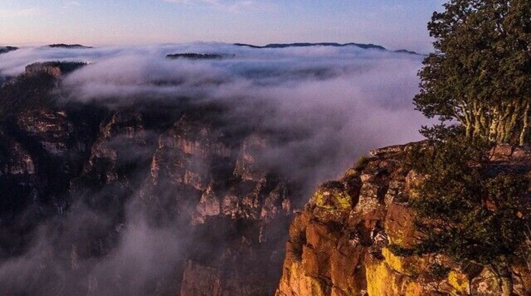 Sunrise over Copper Canyon in Divisadero. #coppercanyon #canyon #travel #twohobos #welovemexico #mexico #travelmexico #sunrise #cliffs #divisadero #ElChepe #traveltheworld #exploretheworld #adventure #campingonacliff #camping #TroveOn