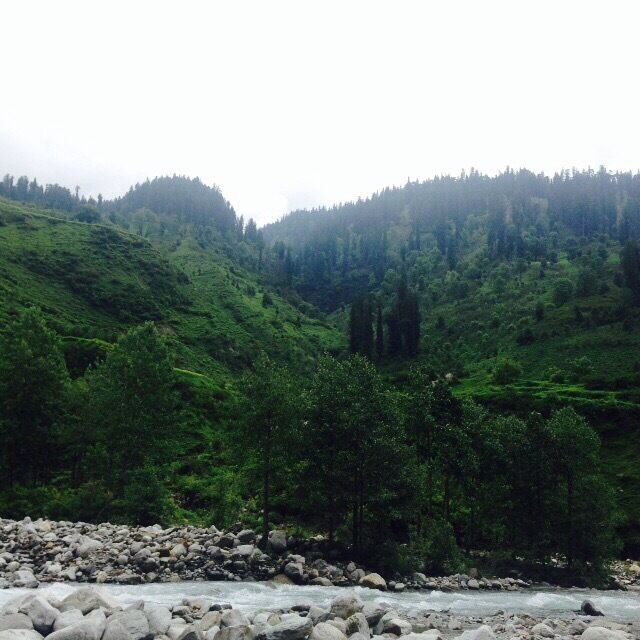 View around Palchan village,Manali (Himachal Pradesh)!