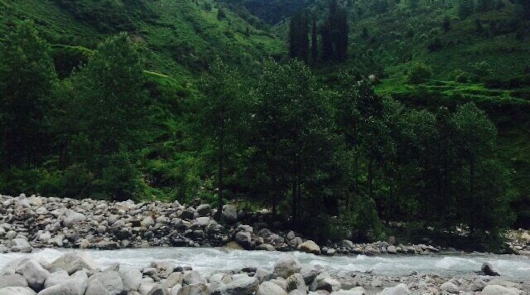 View around Palchan village,Manali (Himachal Pradesh)!