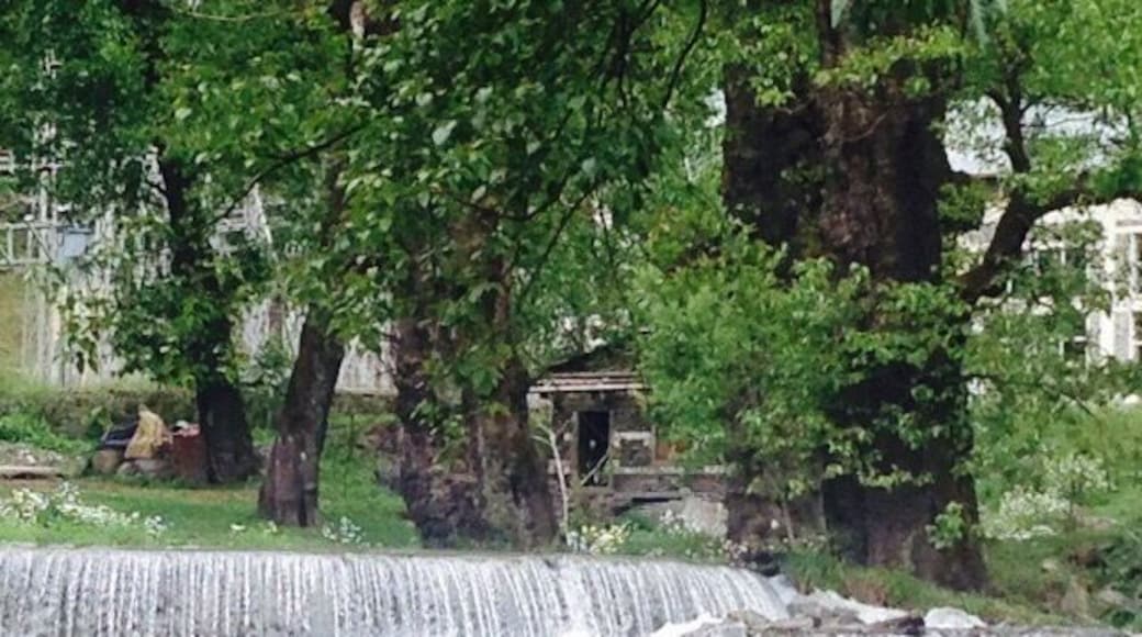 View around Palchan village,Manali(Himachal Pradesh)!