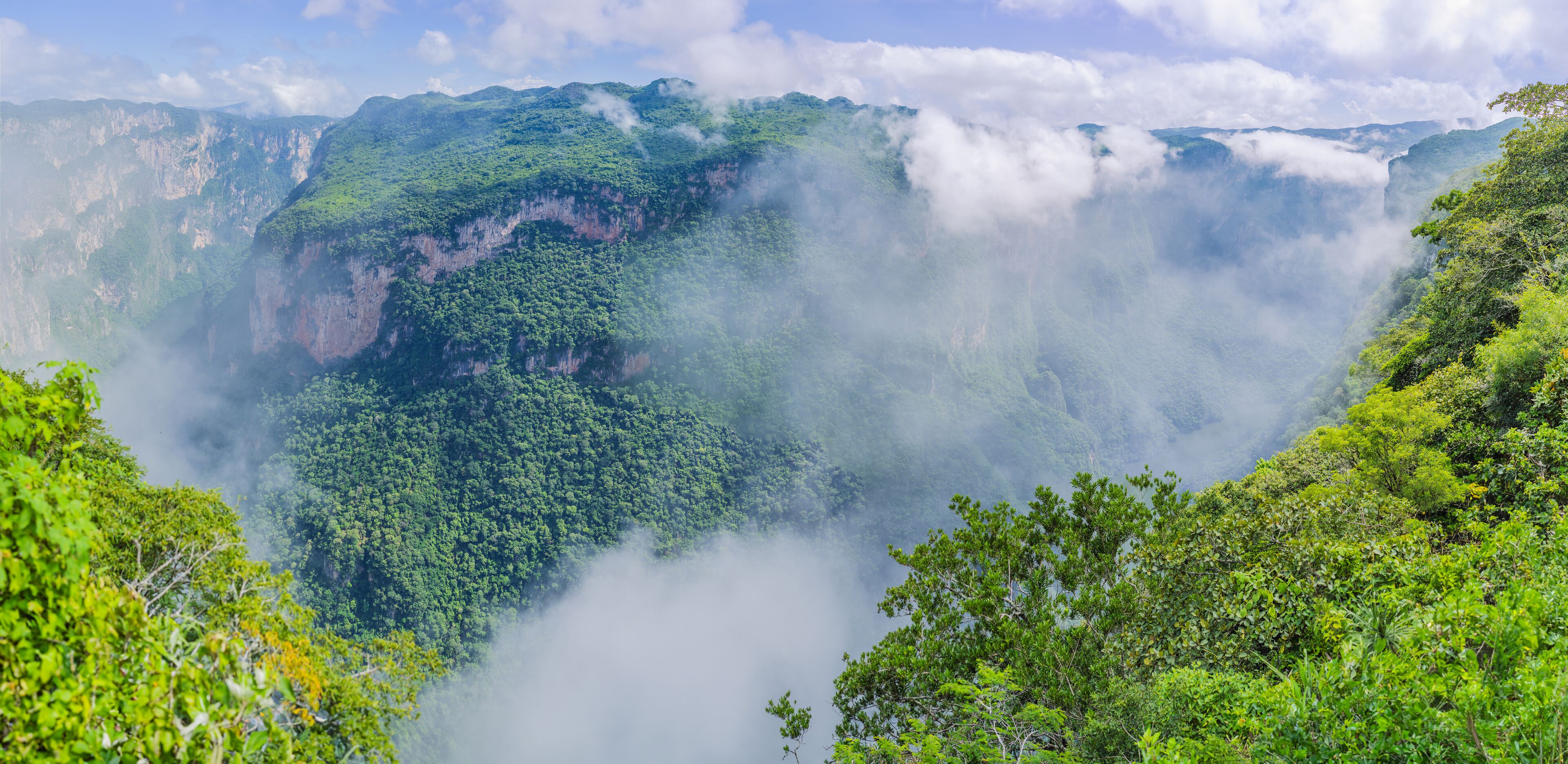 A lush green valley with dense vegetation and mist-covered cliffs.