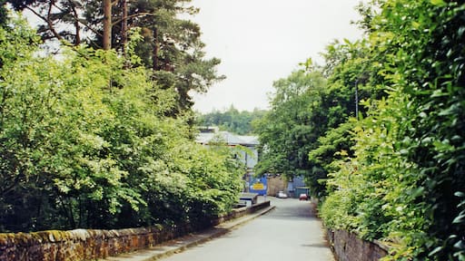 Approach to site of Auchendinny station, 2000. The station, closed 5/3/51, had been on the ex-NBR (Edinburgh) - Bonnyrigg - Penicuick branch, which lost its passenger service from 10/9/51 but remained open for goods until 27/3/67. A factory has been built on the site.