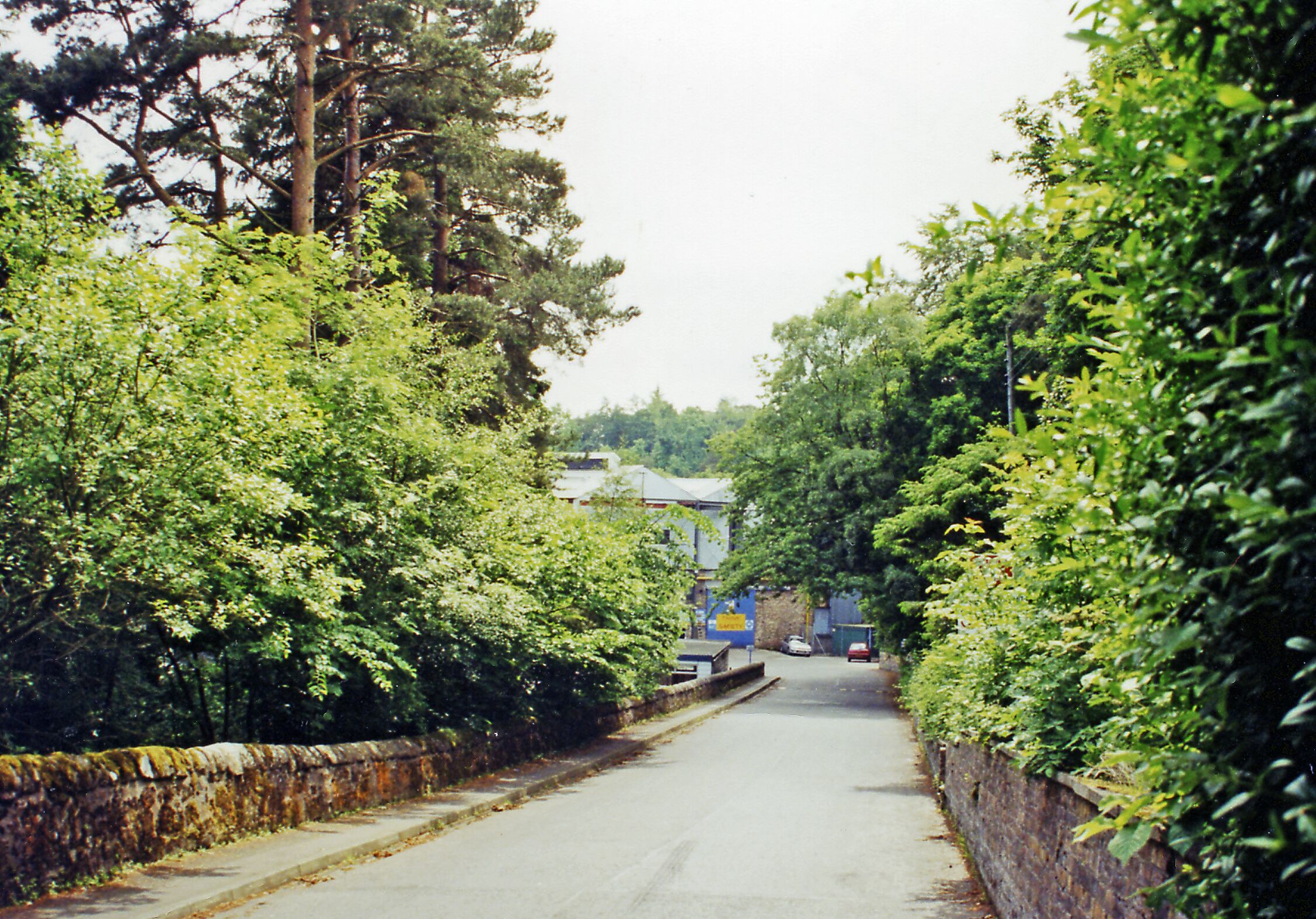 A narrow road flanked by dense green foliage and a stone wall.