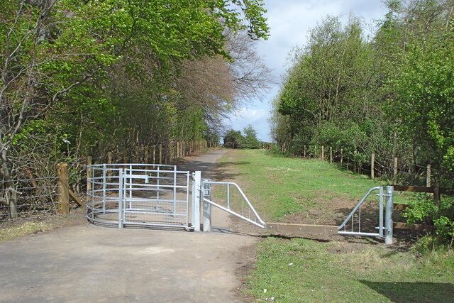 A gated rural path with metal gates and wooden fences.